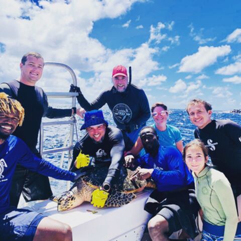 Saving Turtles in Haiti