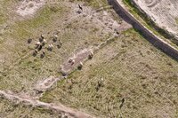 An Afghan adventure